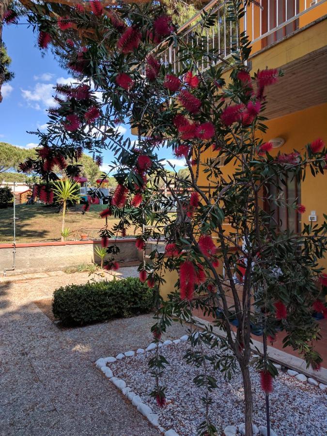 Residence Le Rose Марина-ди-Биббона Экстерьер фото